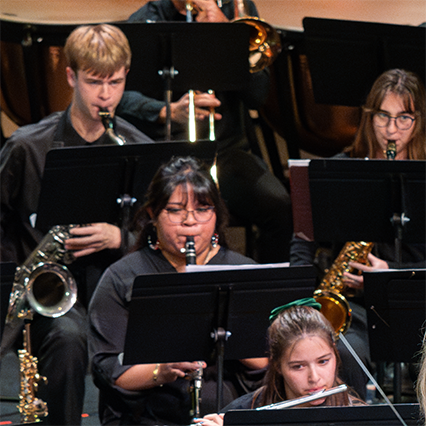 Musicians during concert