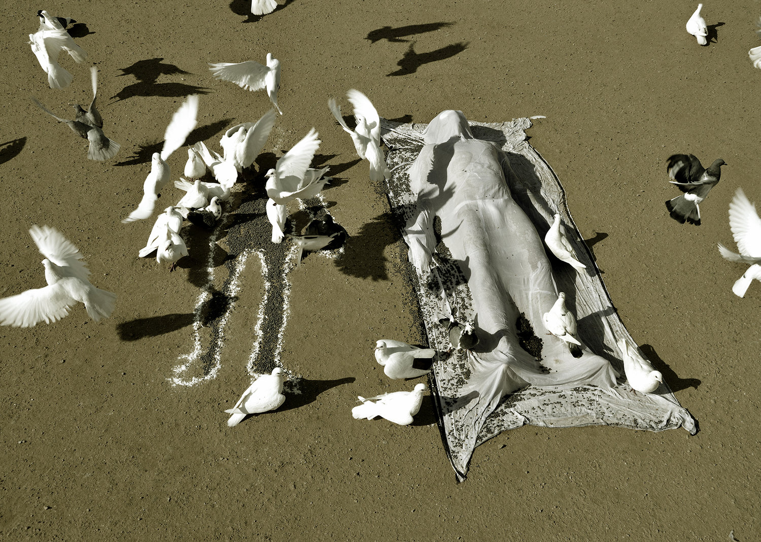 Art installation with seagulls and sculpture