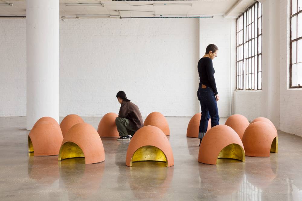 Amanda Gentry: Murmuration