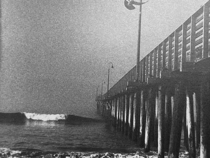 Cassidy Crawford, "Oh to Sore Away"