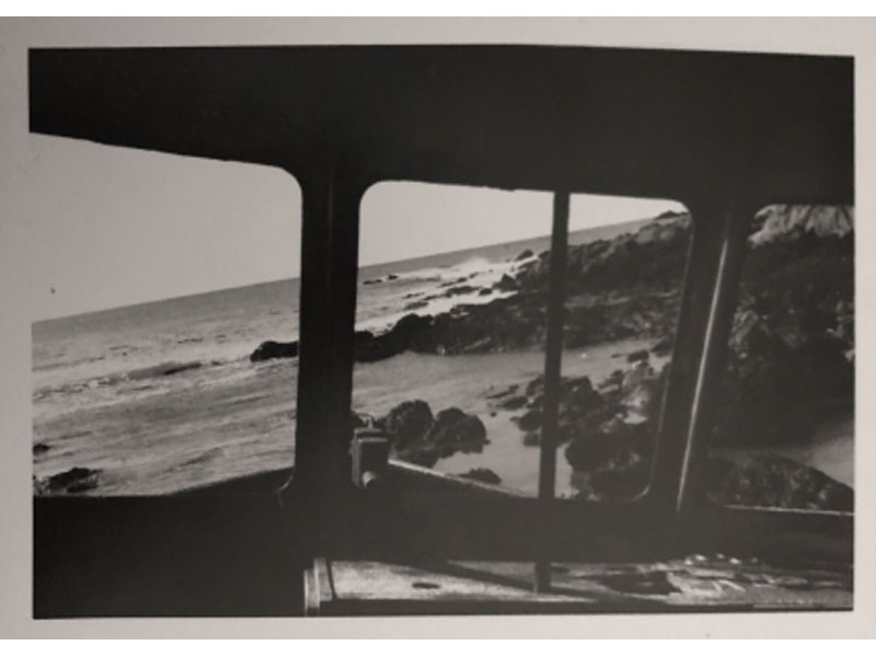 Mitchell Moore "Got Kraken?"