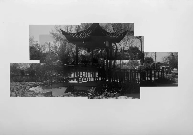 Hockney inspired Japanese Garden