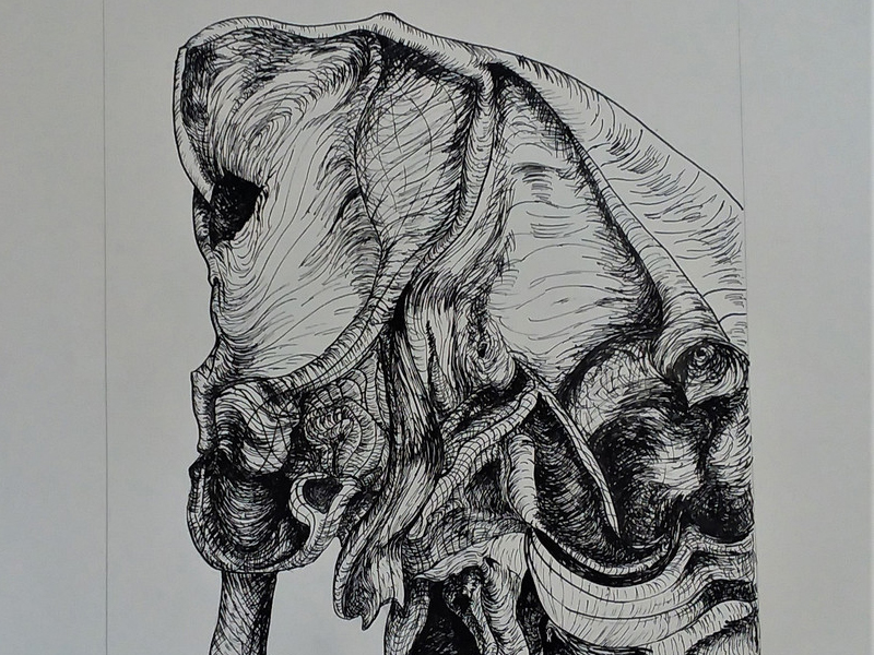 Mariposa Roach "Pig"