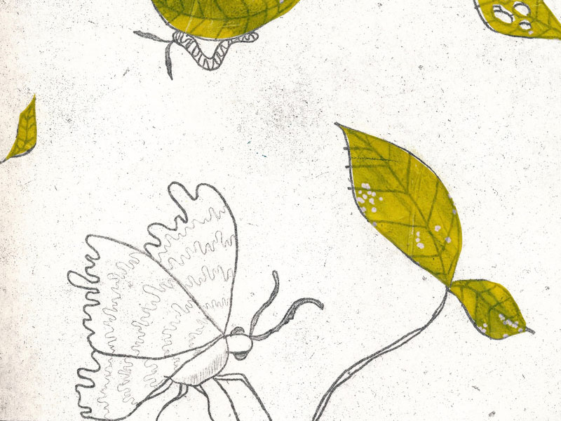 Sabina Zink "Instinct"