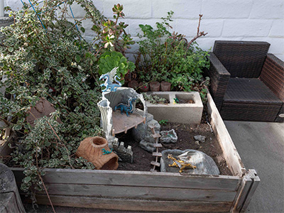 small world dragon play area