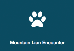 What to do if you see a mountain lion