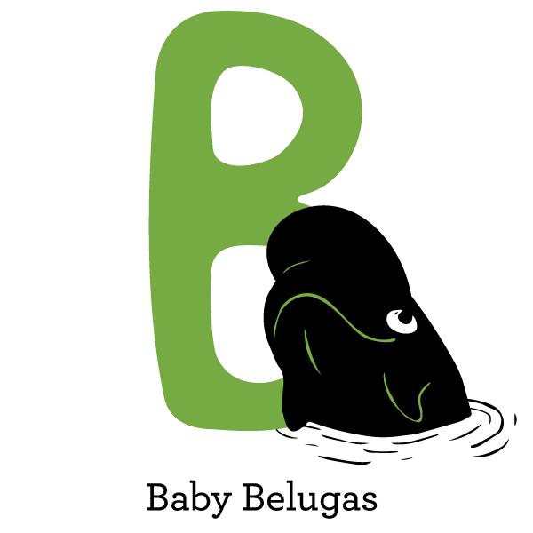 beluga level
