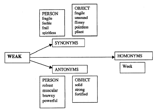 relationship between words diagram